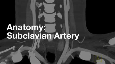 Subclavian Artery Anatomy Youtube