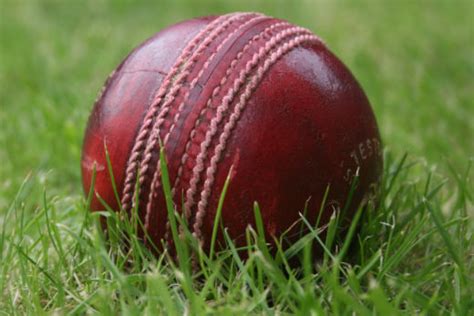 Run by facebook, this page brings you all. SunLive - Cricket season all set - The Bay's News First