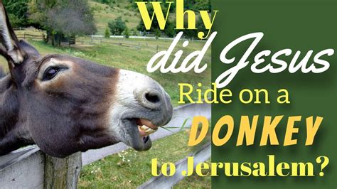 Why Did Jesus Ride A Donkey To Jerusalem Palm Sunday Youtube