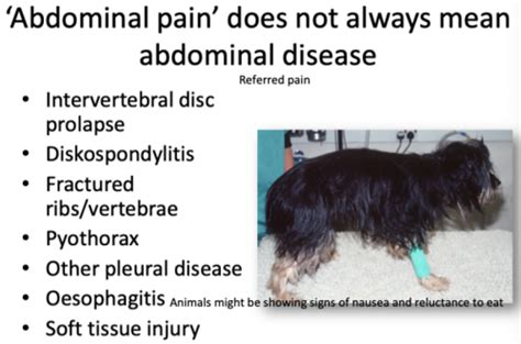 16 Approach To And Management Of Chronic Abdominal Pain And Distension