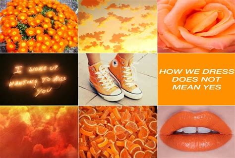 Definitely Not Another Aesthetic Blog — Orange Moodboard Please Dont