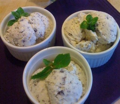 Cuisinart Vanilla Ice Cream Recipe Six 5 Minute Recipes For The