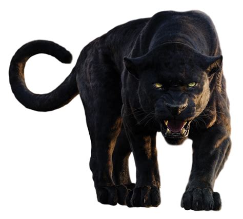 Panther Png Clipart Png Mart