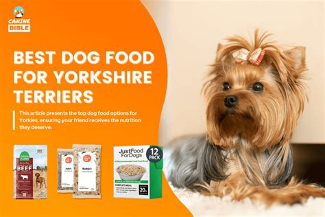 Best Dog Food For Yorkshire Terriers Yorkie Expert Picked 2023