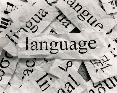 Ways To Immerse Yourself In Learning A New Language Language