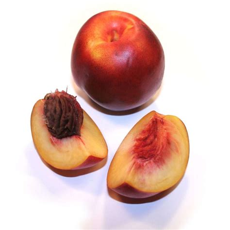 How To Grow Nectarine From Seed