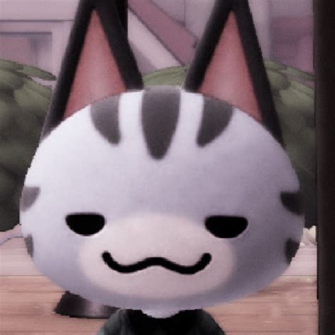 Toro Inoue Animal Crossing Memes Cat Icon Oui Oui Iphone Icon