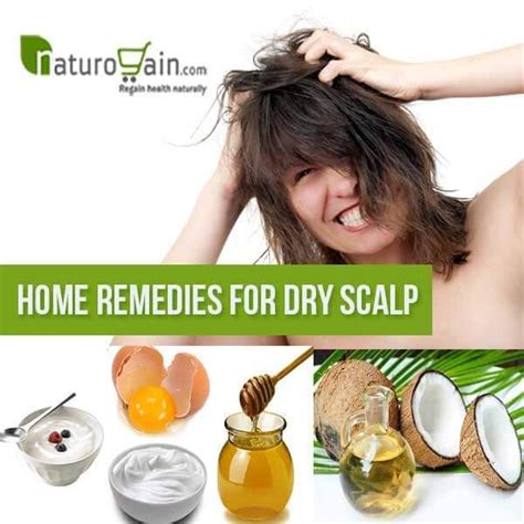 Top 6 Diy Home Remedies For Dry Scalp Get Rid Of Itchy Scalp Dry