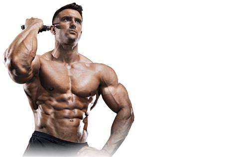Bodybuilding Png Transparent Image Download Size 1200x800px