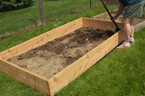When deciding on what to plant in a raised garden bed pairing plants together in the same raised garden bed can be mutually beneficial, boost plant growth and production, draw beneficial pollinators, enhance flavor, and even ward off destructive pests. Notes from the Meadow: Rebirth of a Vegetable Garden with ...