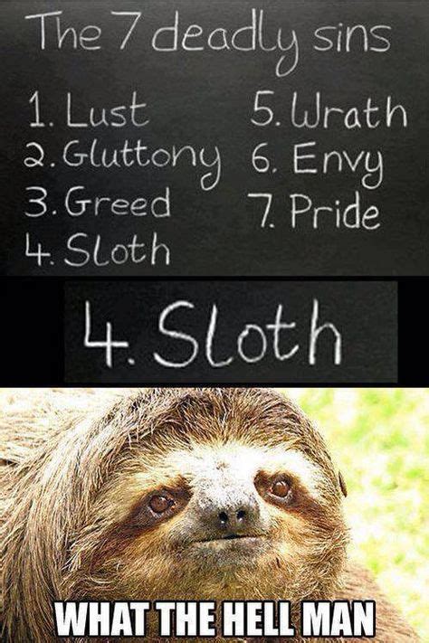 40 Perverted Sloths Ideas Sloth Meme Sloth Creepy Sloth
