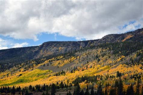 Hillside Fall Colors Stock Image Image Of Nature Mountain 78342957