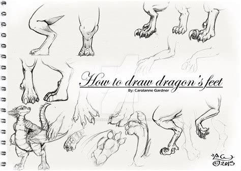 How To Draw Dragons Feet By Spiraxdracowolf Dragon Drawing Drawings