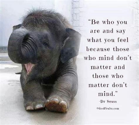 Pin By Margit Sandberg On For Me Elephant Quotes Animal Quotes Elephant