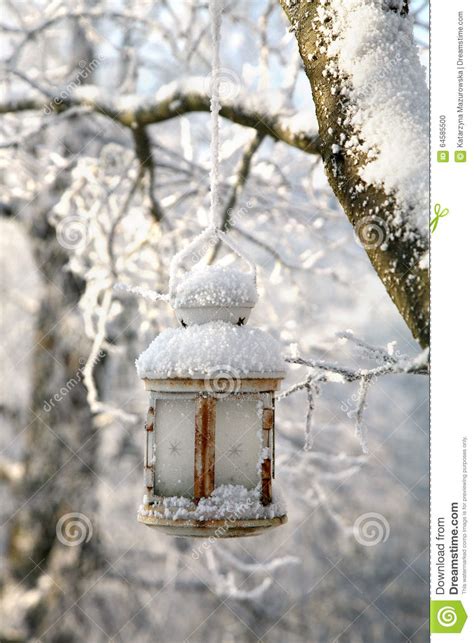 Christmas Decoration With Lantern Snow And Fir Tree