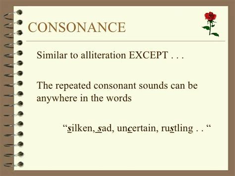 Consonance Poetry Terminology Writing Poetry Sentence Examples