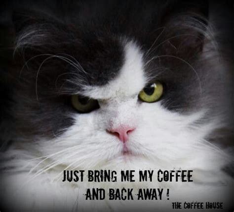 17 Best Images About Coffee Sayings On Pinterest Random