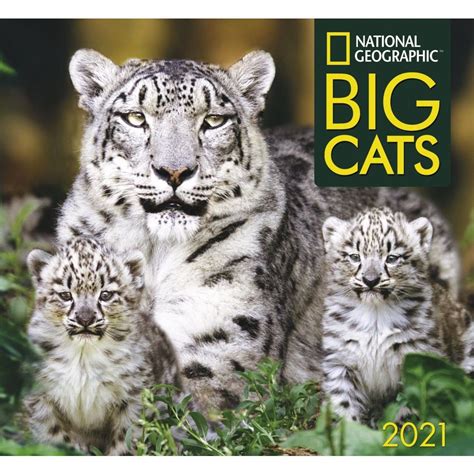 Big Cats National Geographic Wall Calendar