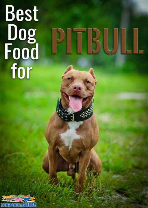 Crude protein (min) 24.00% ; 10 Healthiest & Best Dog Food for Pitbulls in 2021