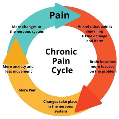 What Is Chronic Pain · Witte Physical Therapy Louisville And Plattsmouth