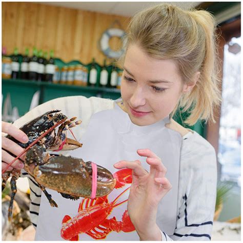 Disposable Restaurant Plastic Crab Bibs Seafood Lobster Bib Custom