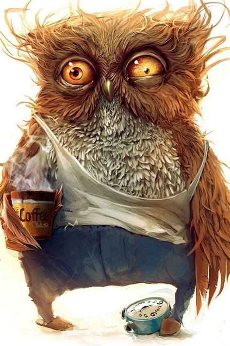 30 Funny Owl Wallpapers