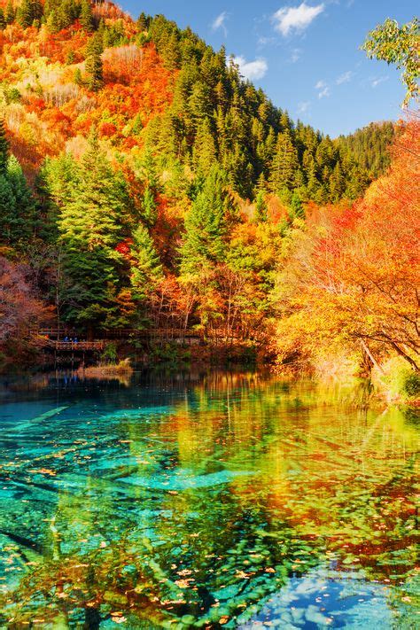 Five Flower Lake Jiuzhaigou Valley China In 2019 Places Places To