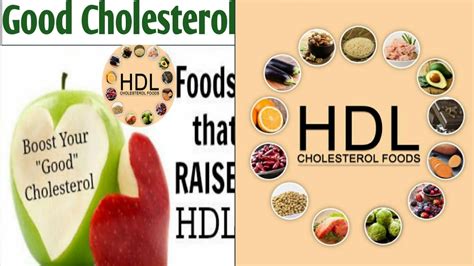 Hdl Good Cholesterol English Version Foods To Increase Hdl Level