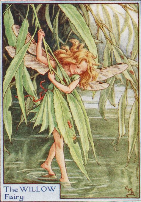 Flower Fairies The Willow Fairy Vintage Print C1930 By Cicely Mary