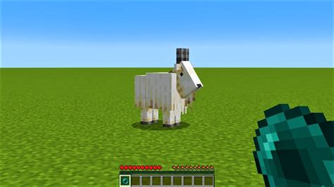 Whats Inside The Minecraft Goat Youtube