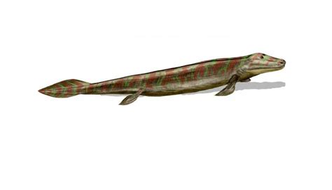 Discovery Of New Tiktaalik Roseae Fossils Reveals Key Link In Evolution