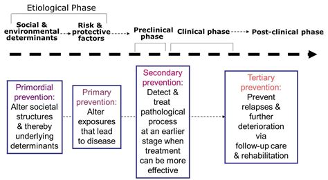 ️ Levels Of Disease Prevention Primary Secondary Tertiary Tertiary