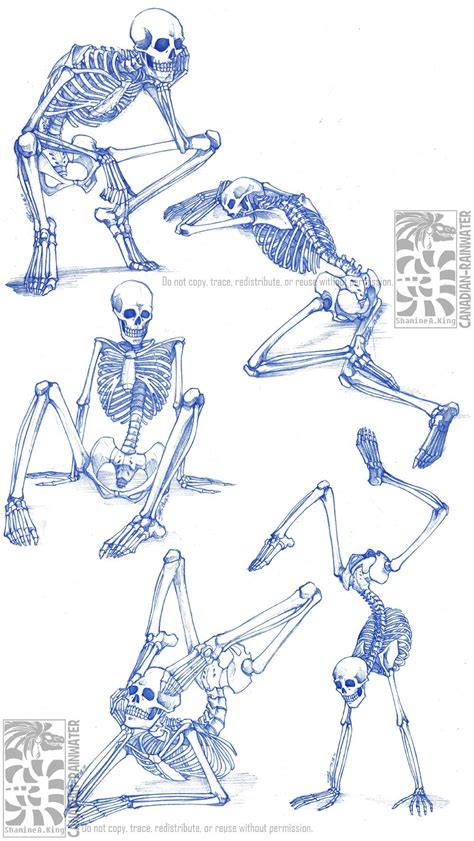 Skeleton Drawings Skeleton Tattoos Anatomy Sketches Art Drawings
