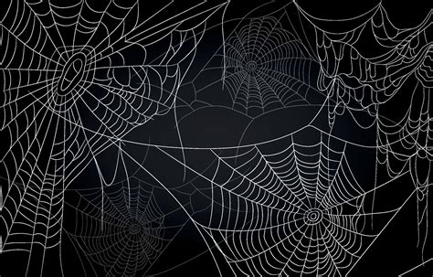 Spider Web Background 3106492 Vector Art At Vecteezy