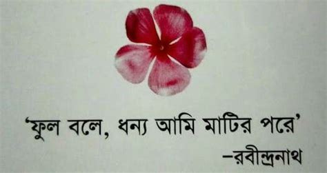 Bangla Love Quotes Song Quotes Good Morning Songs Result Image