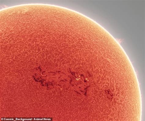Astrophotographer Captures Swirling Plasma On The Surface Of The Sun In Amazing High Res Image