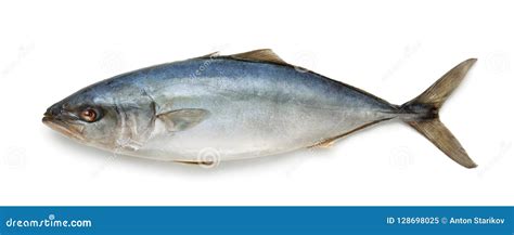 Fresh Tuna Fish Stock Image Image Of Protein Cold 128698025