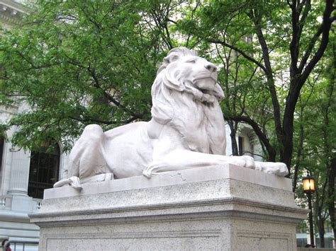 The Story Behind New Yorks Library Lions Fiar Andy And The Lion John