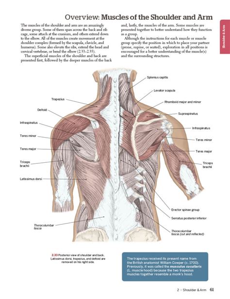 Trail Guide To The Body 6th Edition Books Of Discovery