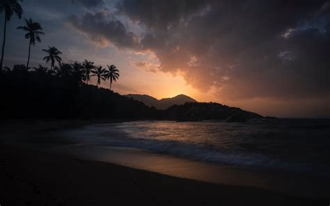 Download Wallpaper 3840x2400 Ocean Palm Trees Sunset Shore Night