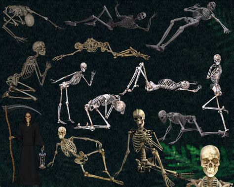 69 Skeleton Halloween Overlays Skeleton Overlays Skull Overlays