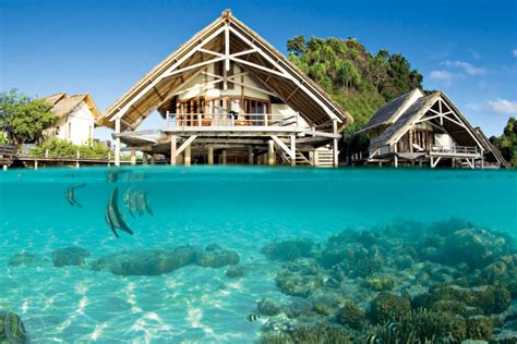 What are some restaurants close to the roots eco resort? MISOOL ECO RESORT | Travel | The Coral Triangle