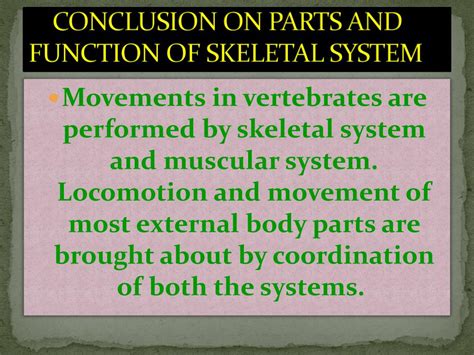 Ppt Skeletal System Powerpoint Presentation Free Download Id1981140