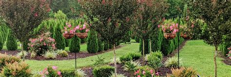 Hope Botanical Garden Memberships Membership Management Software