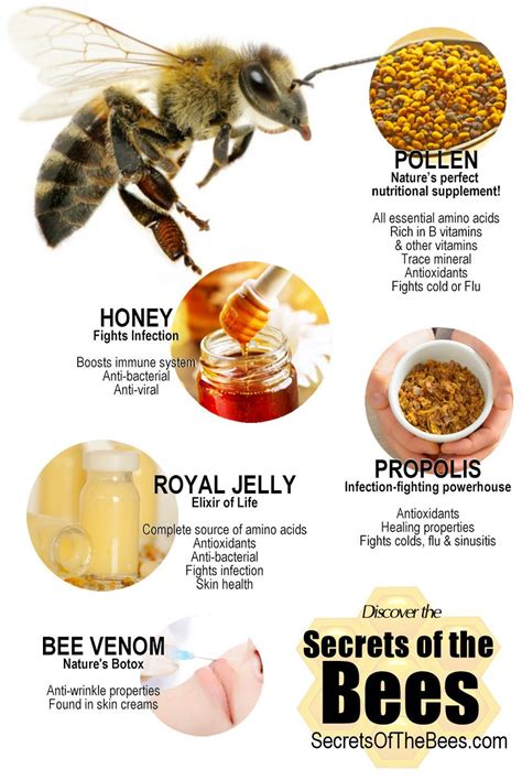 Infographic Health Benefit Of Bee Products Secrets Of The Bees Bee Keeping Bee Bread Bee