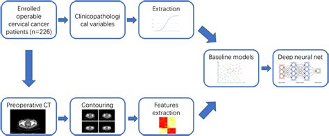 Frontiers Development And Validation Of A Deep Learning Radiomics