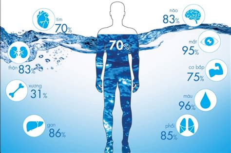 We can live with out food for extended periods of time, but without water will result in death. What is the composition of water in the human body?