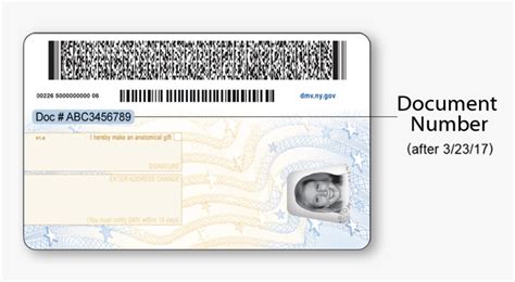 Us Drivers License Barcode Hd Png Download Transparent Png Image
