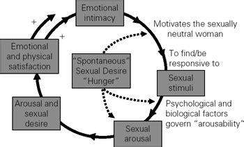 Female Sexual Function And Dysfunction Obgyn Key