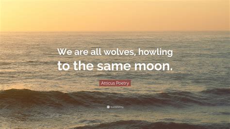 Atticus Poetry Quote We Are All Wolves Howling To The Same Moon